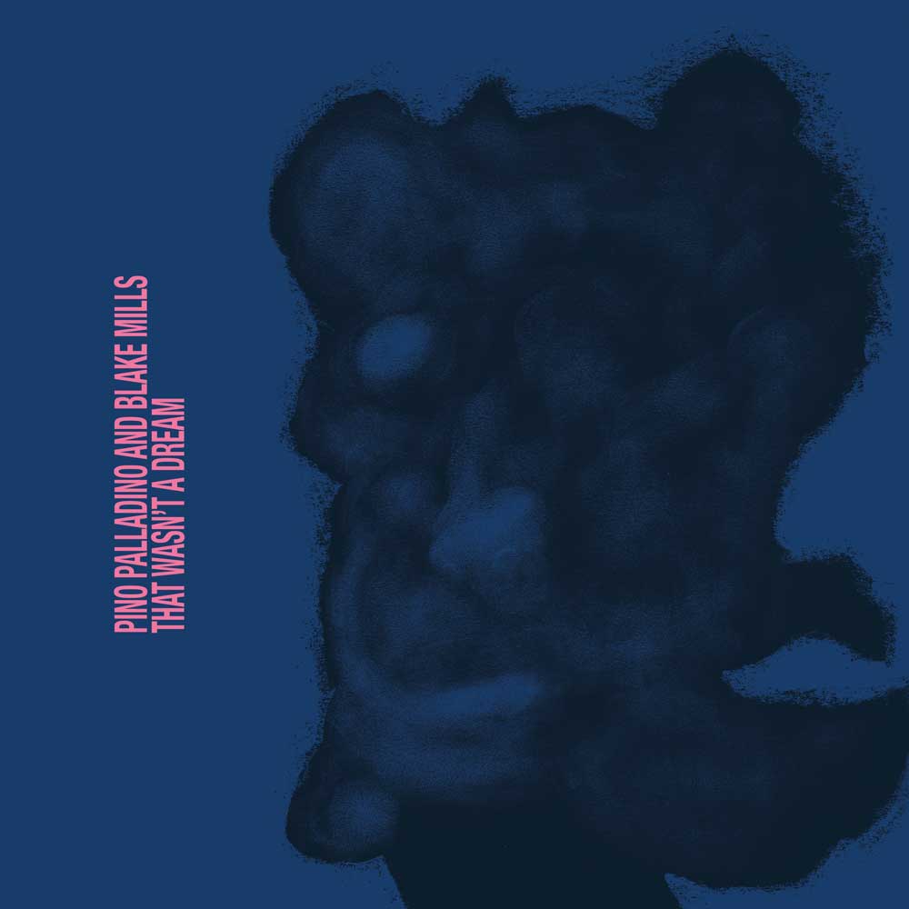 Pino Palladino & Blake Mills "That Wasn't A Dream" album cover
